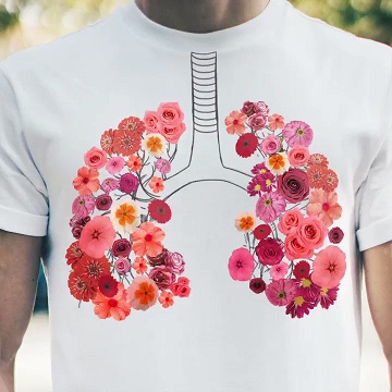 рисунок лёгких